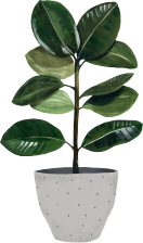 plant-img